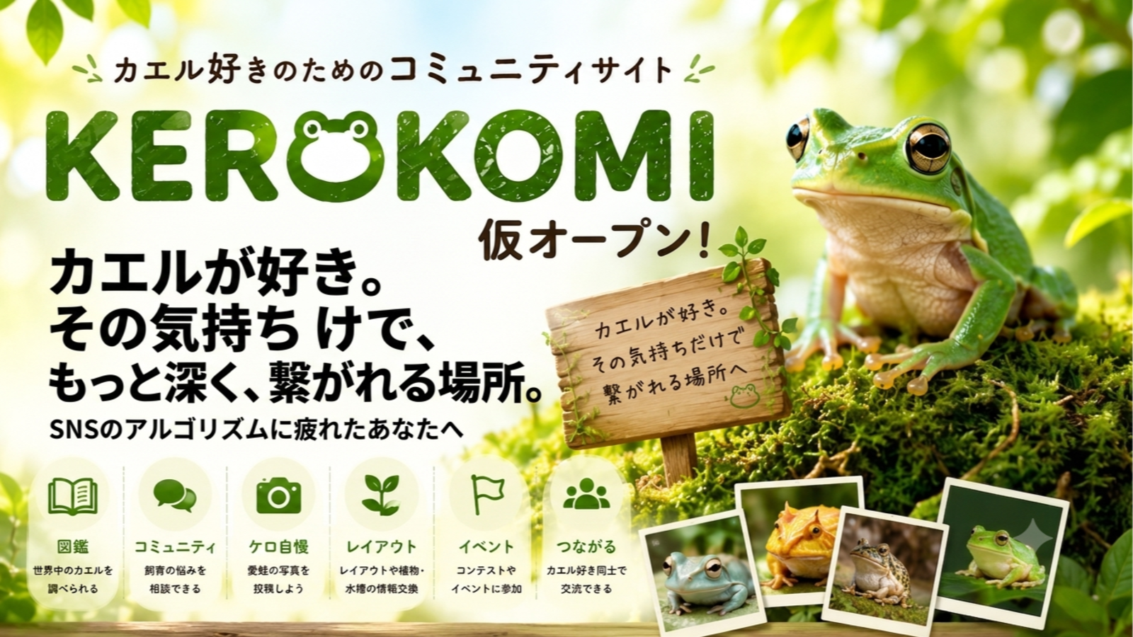 KEROKOMIを仮オープンしました。カエル好きだけが繋がれる場所を目指して