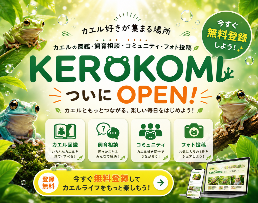 バナー 2026-07-06 03:18:15