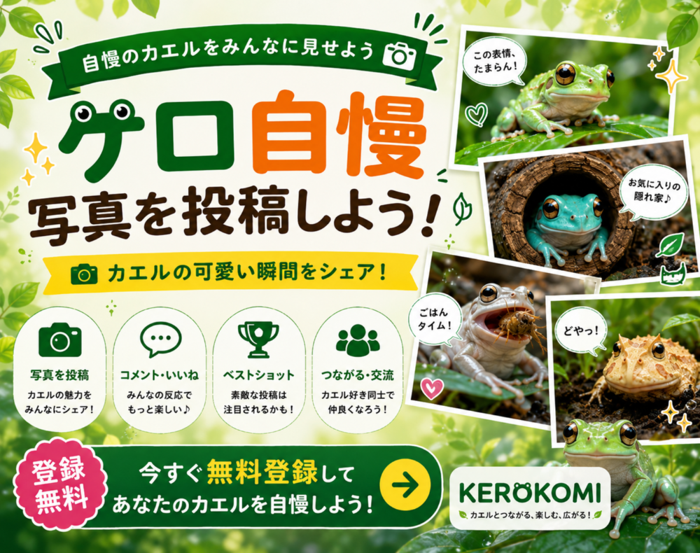 バナー 2026-07-06 03:19:08