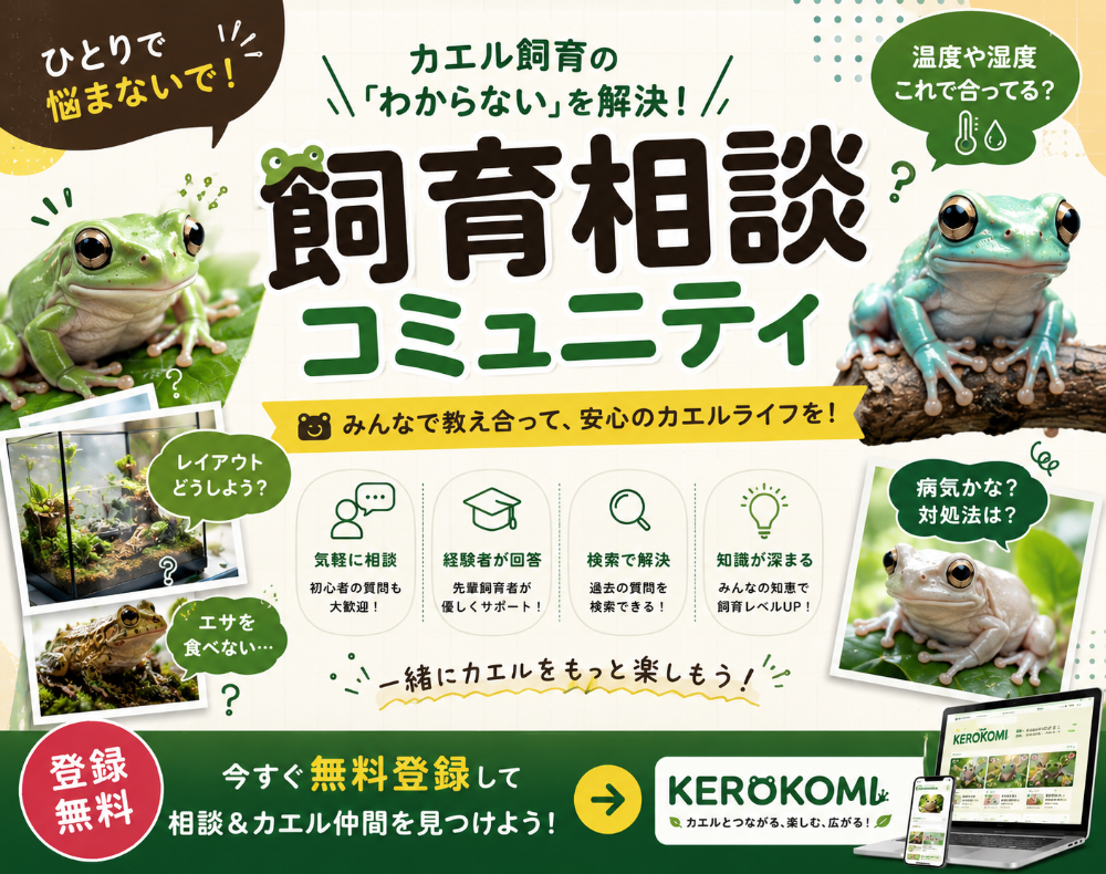 バナー 2026-07-06 03:19:40